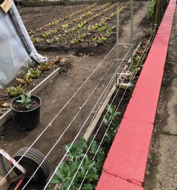 65 Bain Street Cranston, RI 02920 - Photo 34 of 44 GARDEN