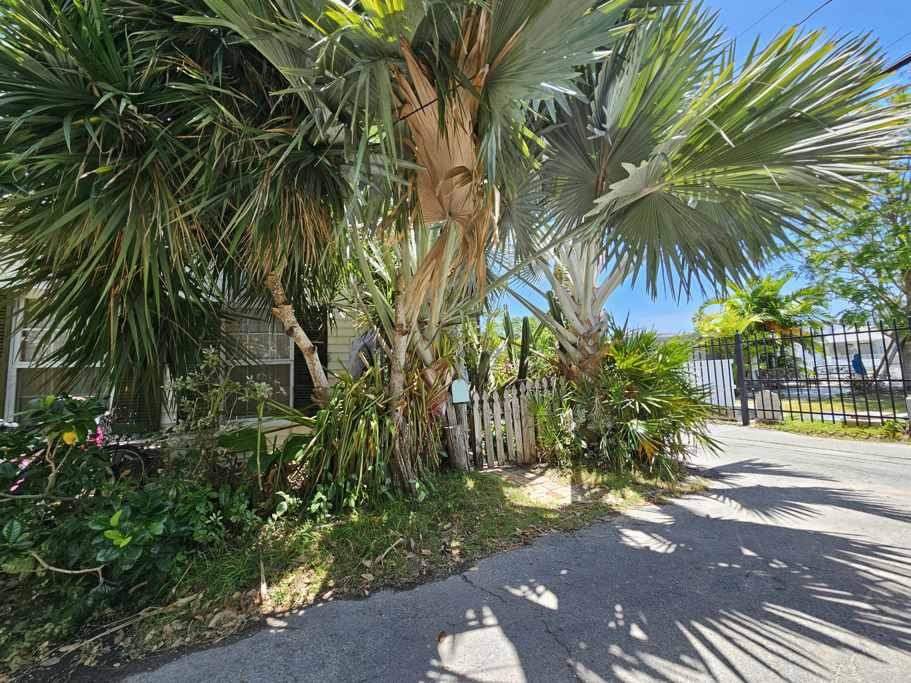 1015 Angela Street Key West, FL 33040 - Photo 14 of 42 a view of outdoor space and yard