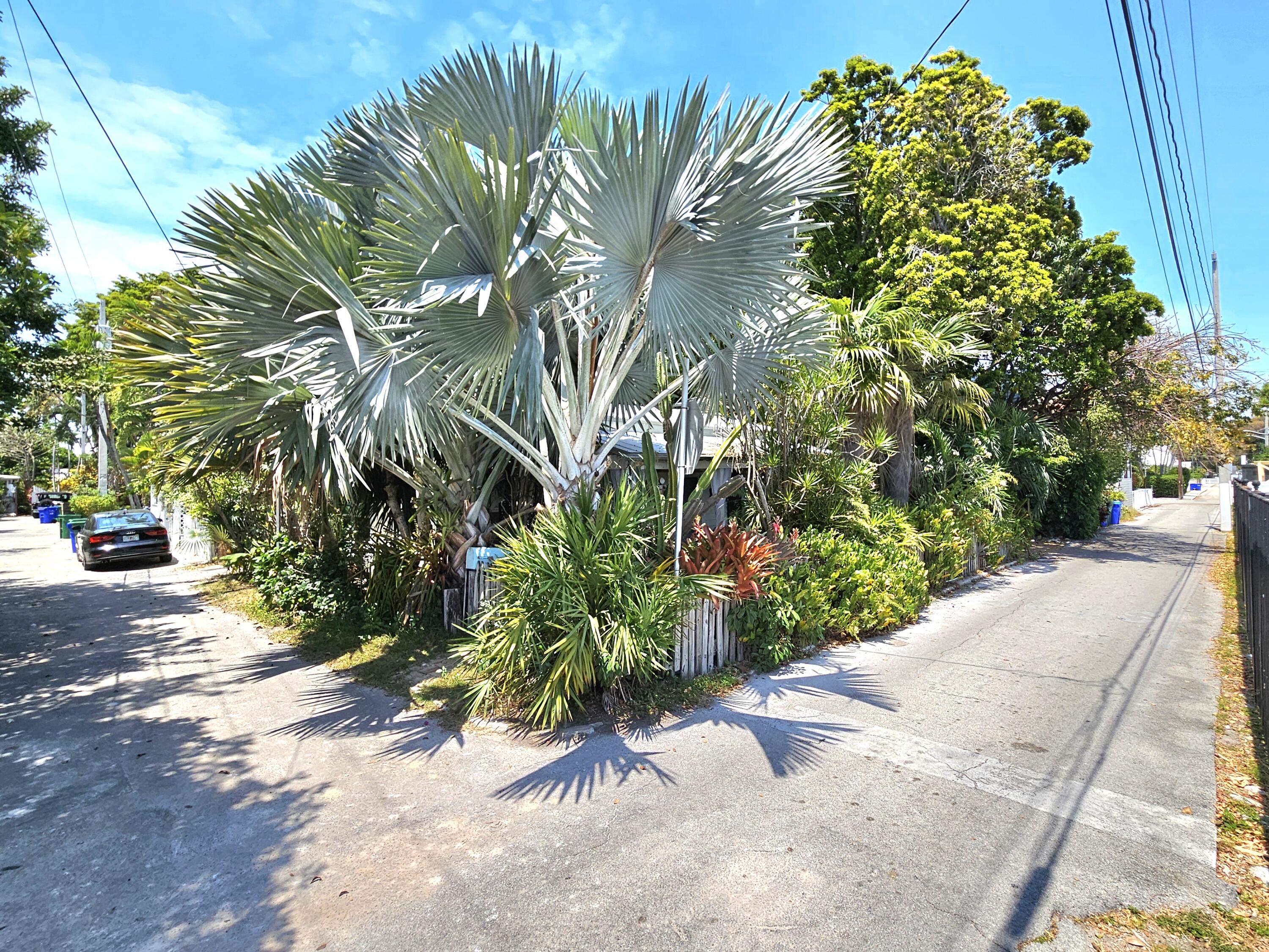 1015 Angela Street Key West, FL 33040 - Photo 2 of 42 .