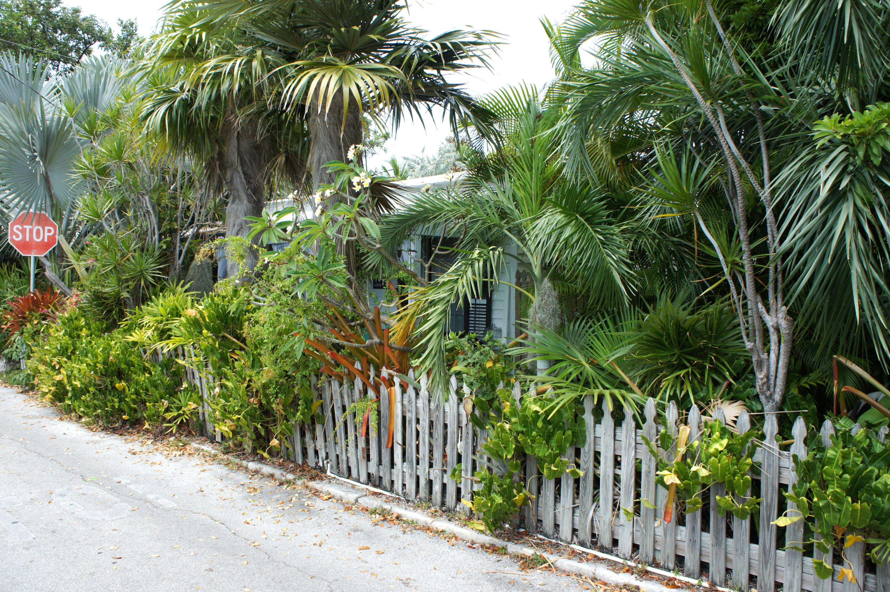 1015 Angela Street Key West, FL 33040 - Photo 3 of 42 .