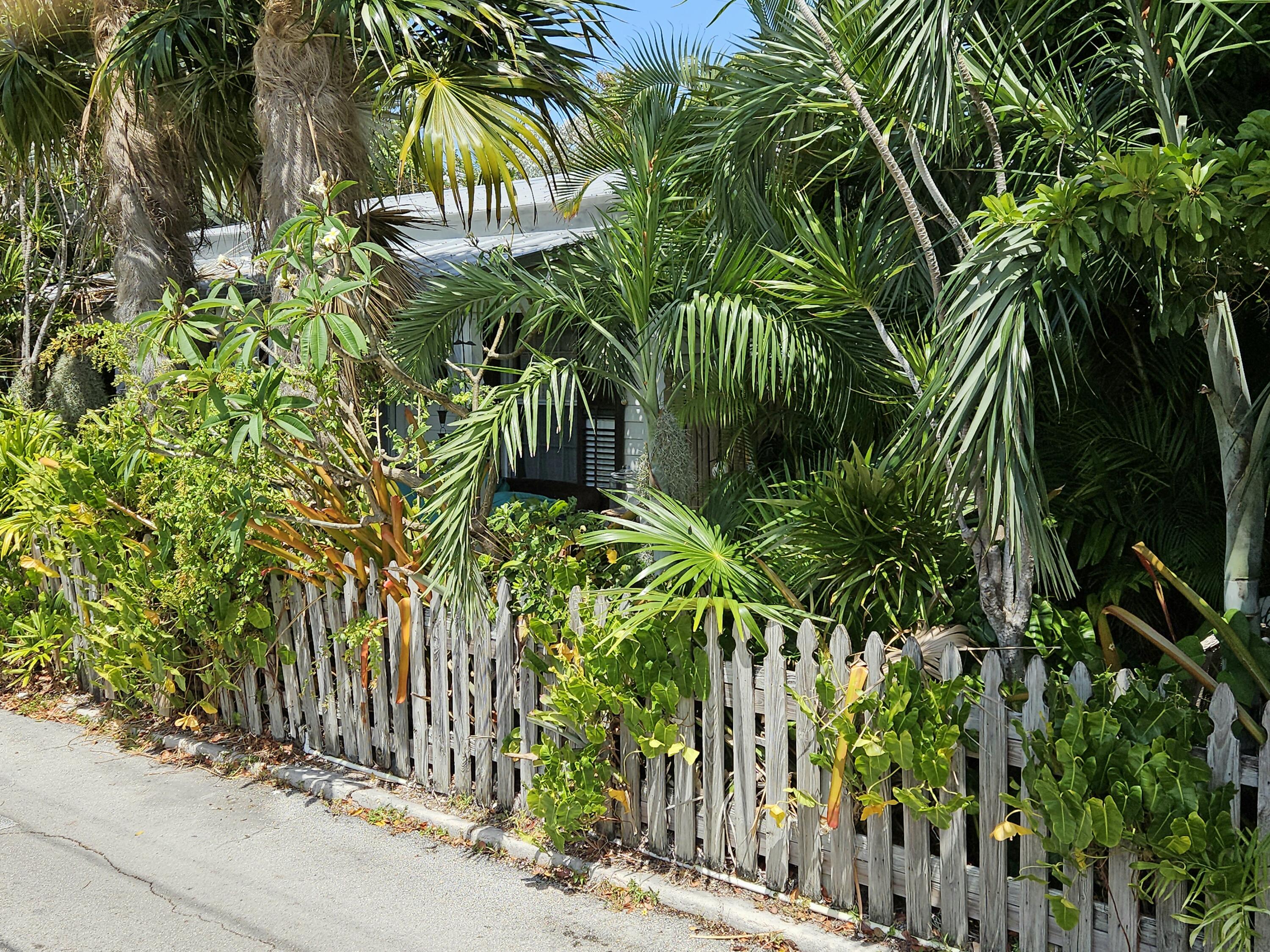 1015 Angela Street Key West, FL 33040 - Photo 7 of 42 a close up of a plant in a garden