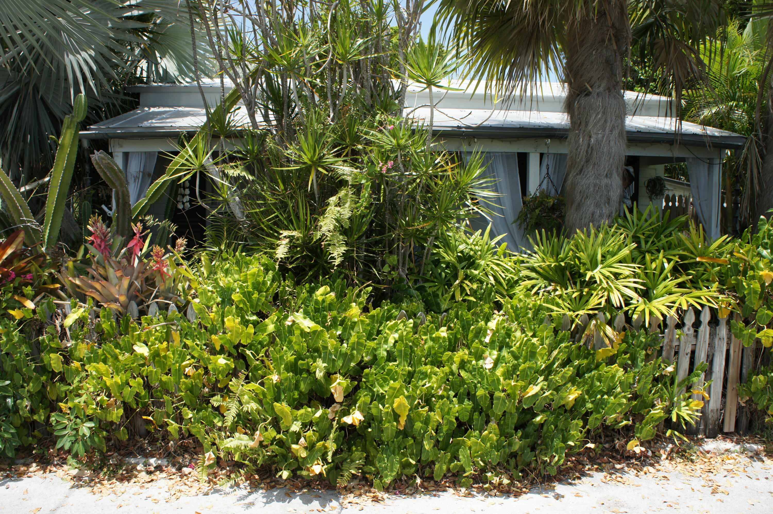 1015 Angela Street Key West, FL 33040 - Photo 8 of 42 .