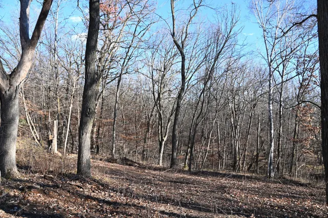 $46,000 | Tbd Ottawa Drive, Browerville, MN 56438