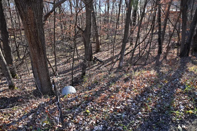 $46,000 | Tbd Ottawa Drive, Browerville, MN 56438