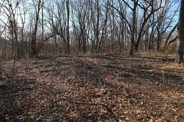 $46,000 | Tbd Ottawa Drive, Browerville, MN 56438