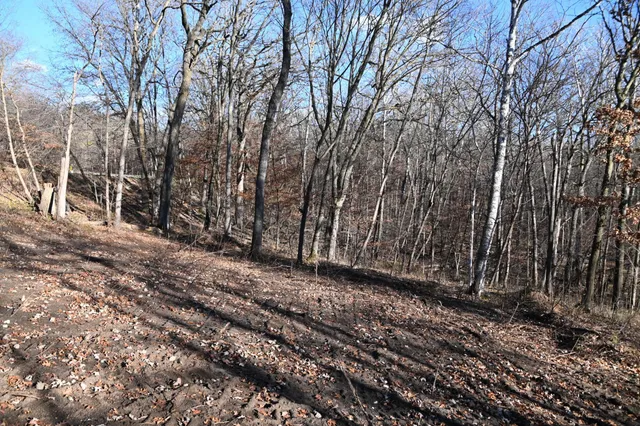 $46,000 | Tbd Ottawa Drive, Browerville, MN 56438