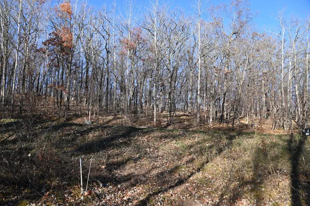 $46,000 | Tbd Ottawa Drive, Browerville, MN 56438