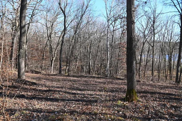 $46,000 | Tbd Ottawa Drive, Browerville, MN 56438