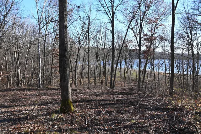 $46,000 | Tbd Ottawa Drive, Browerville, MN 56438