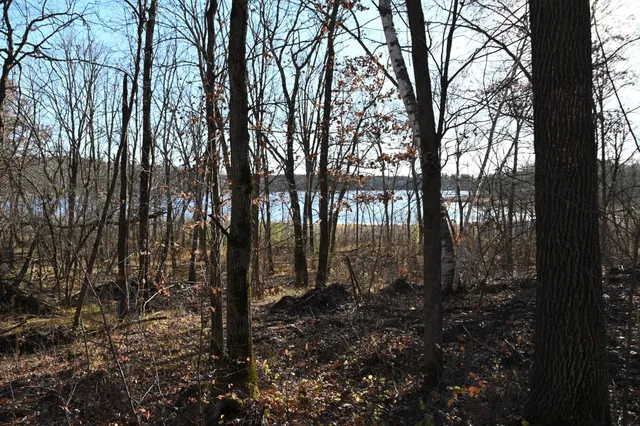 $46,000 | Tbd Ottawa Drive, Browerville, MN 56438