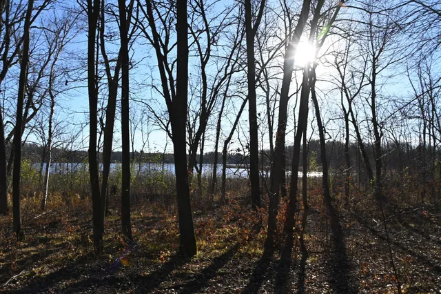 $46,000 | Tbd Ottawa Drive, Browerville, MN 56438