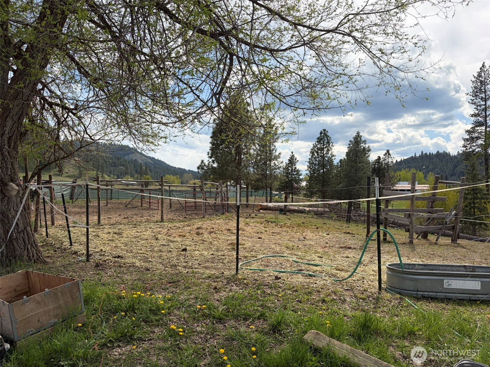17525 Highway 21 Malo, WA 99150 - Photo 22 of 25