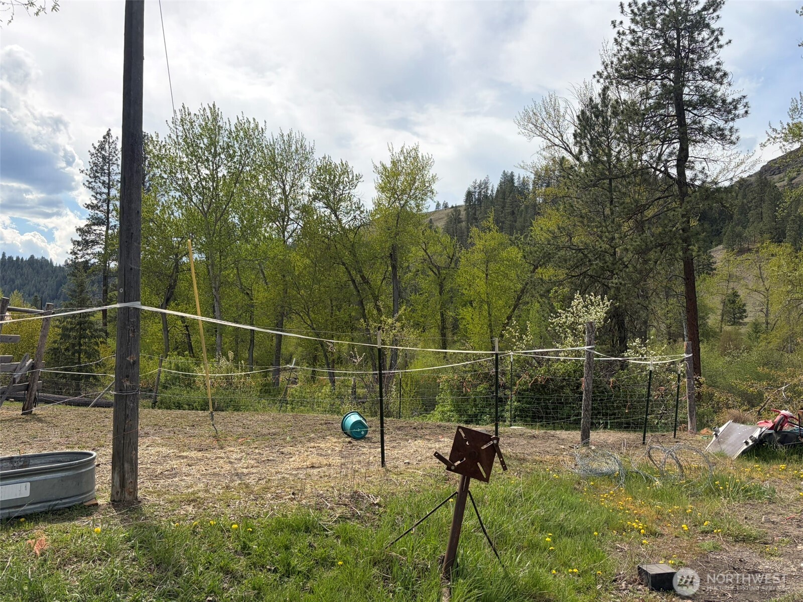 17525 Highway 21 Malo, WA 99150 - Photo 23 of 25