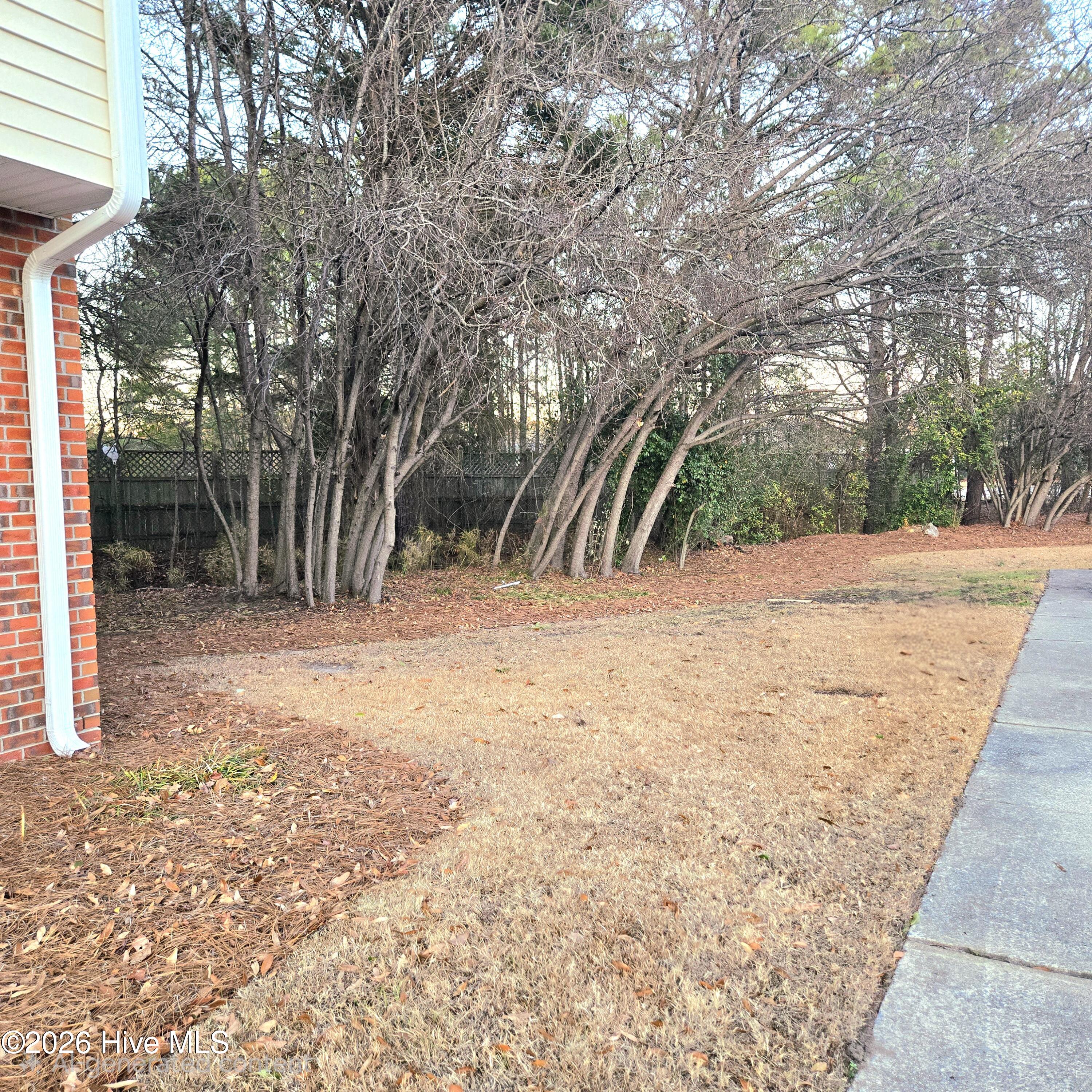 2700 Thackery Road, Unit 31 Greenville, NC 27858 - Photo 17 of 17 BESIDE TOWNHOUSE