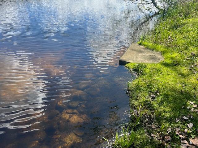 30602 County Road 52 Bigfork, MN 56628 - Photo 13 of 31