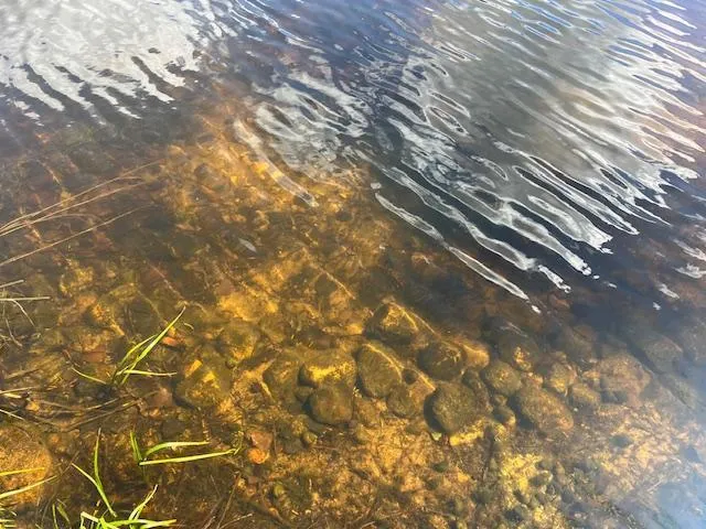 $240,000 | 30602 County Road 52, Bigfork, MN 56628