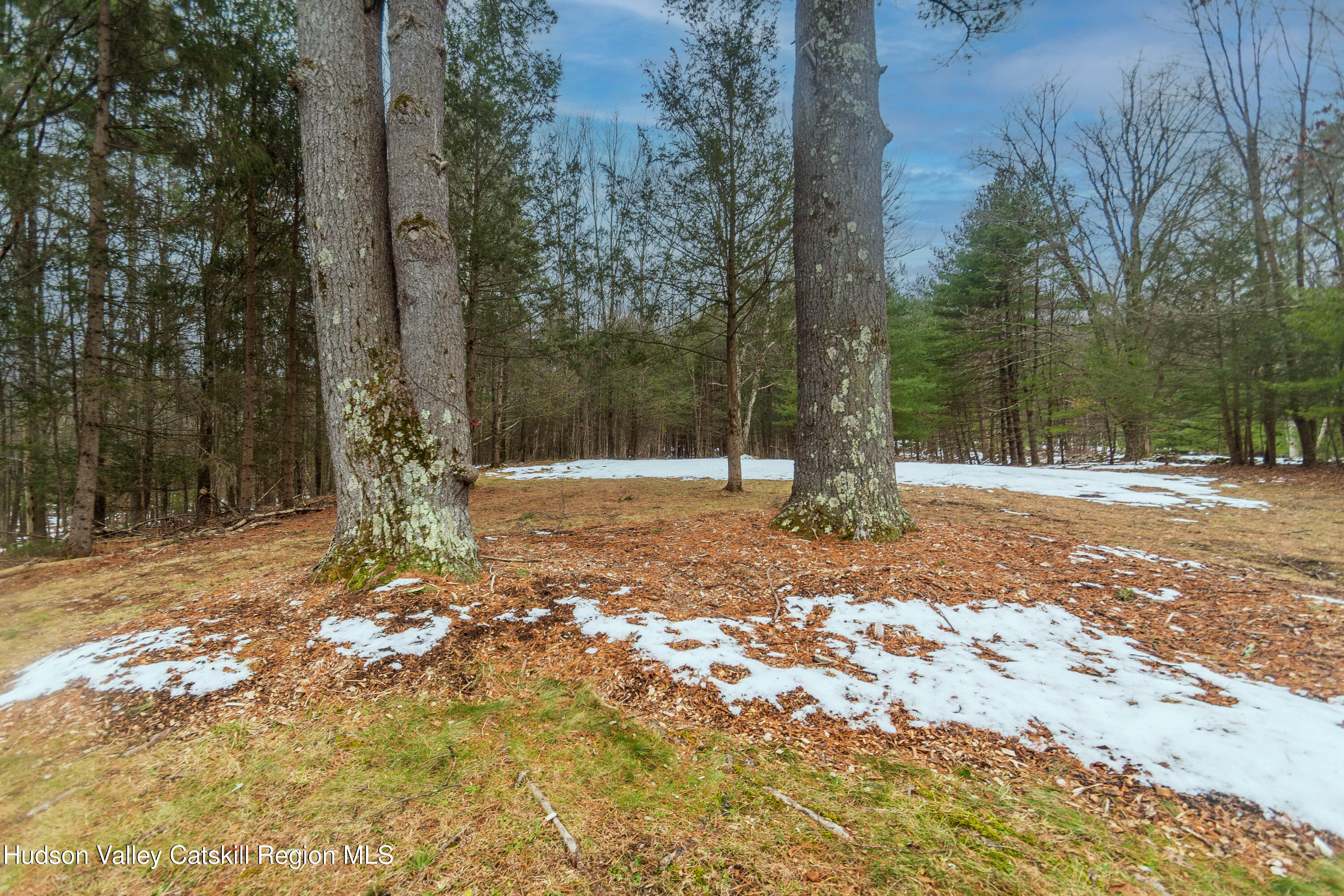 183 Mill Road Olivebridge, NY 12461 - Photo 8 of 30 DSC_0086 copy