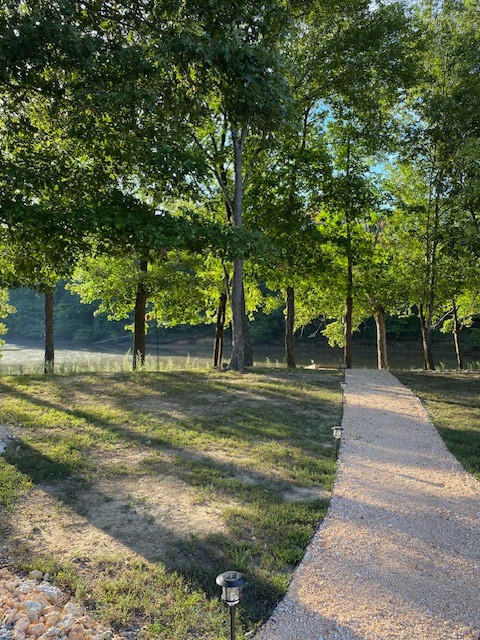 368 Duck Blind Road Clifton, TN 38425 - Photo 19 of 46 a view of a park with large trees