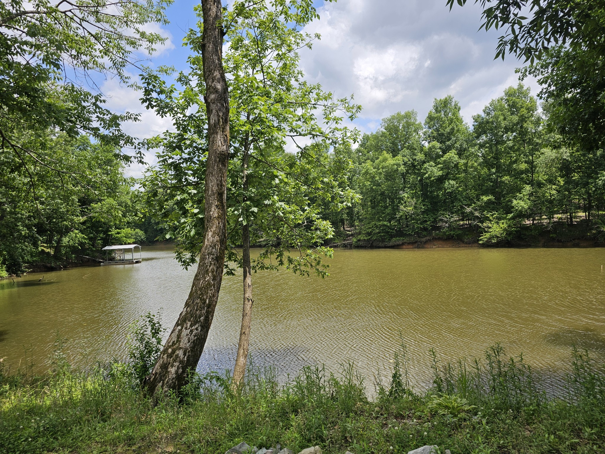 368 Duck Blind Road Clifton, TN 38425 - Photo 20 of 46 a view of a lake with a lake