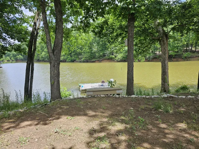 a view of a lake with a large yard and large trees