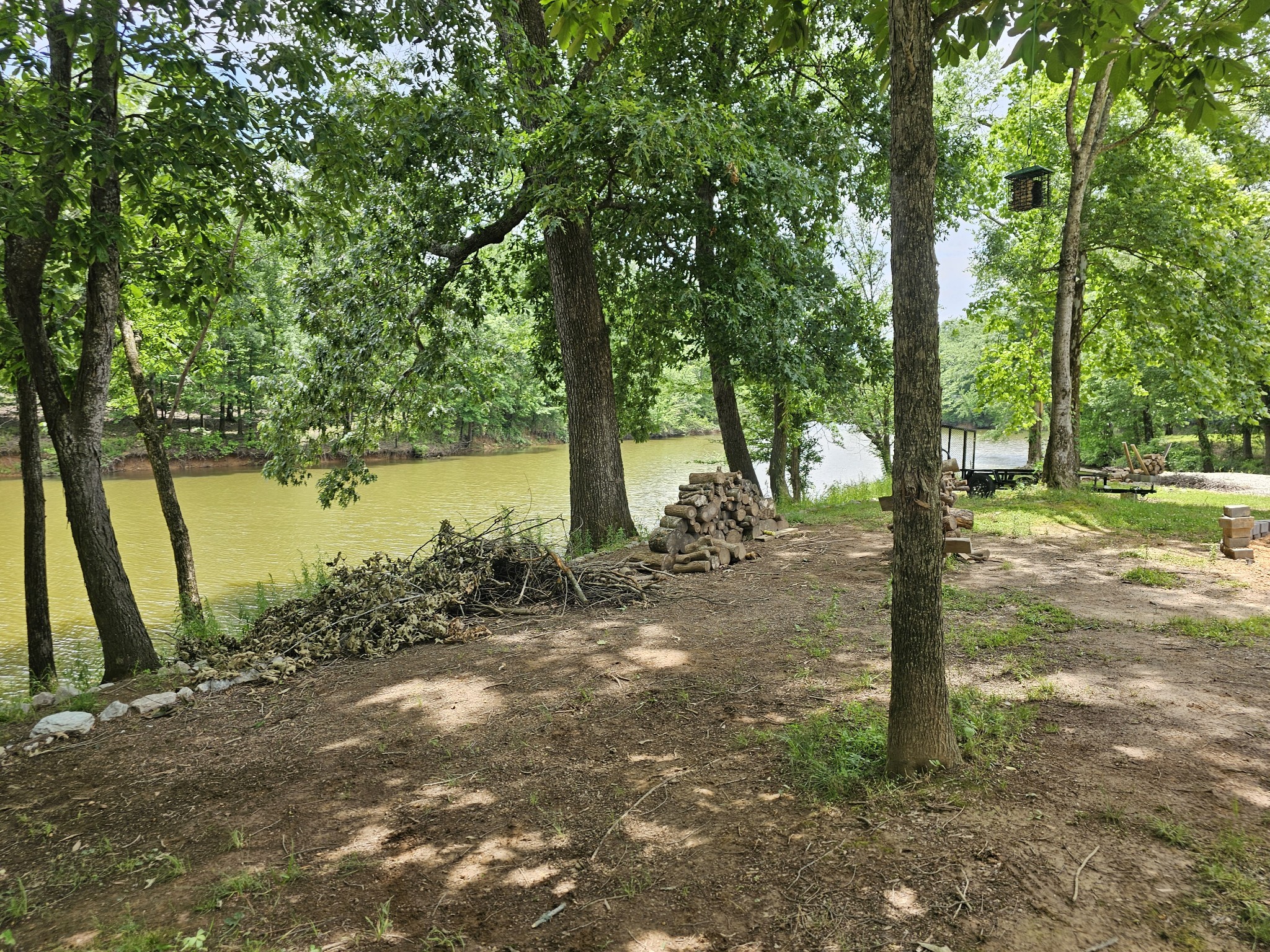368 Duck Blind Road Clifton, TN 38425 - Photo 24 of 46 a view of a tree in a yard