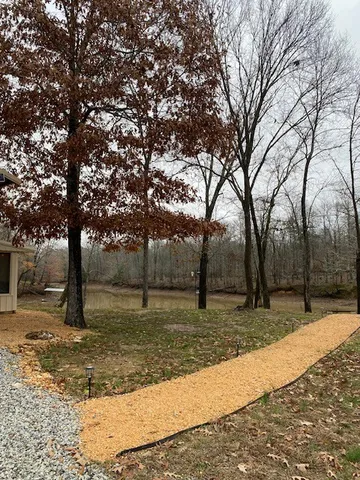 a view of a yard with a tree