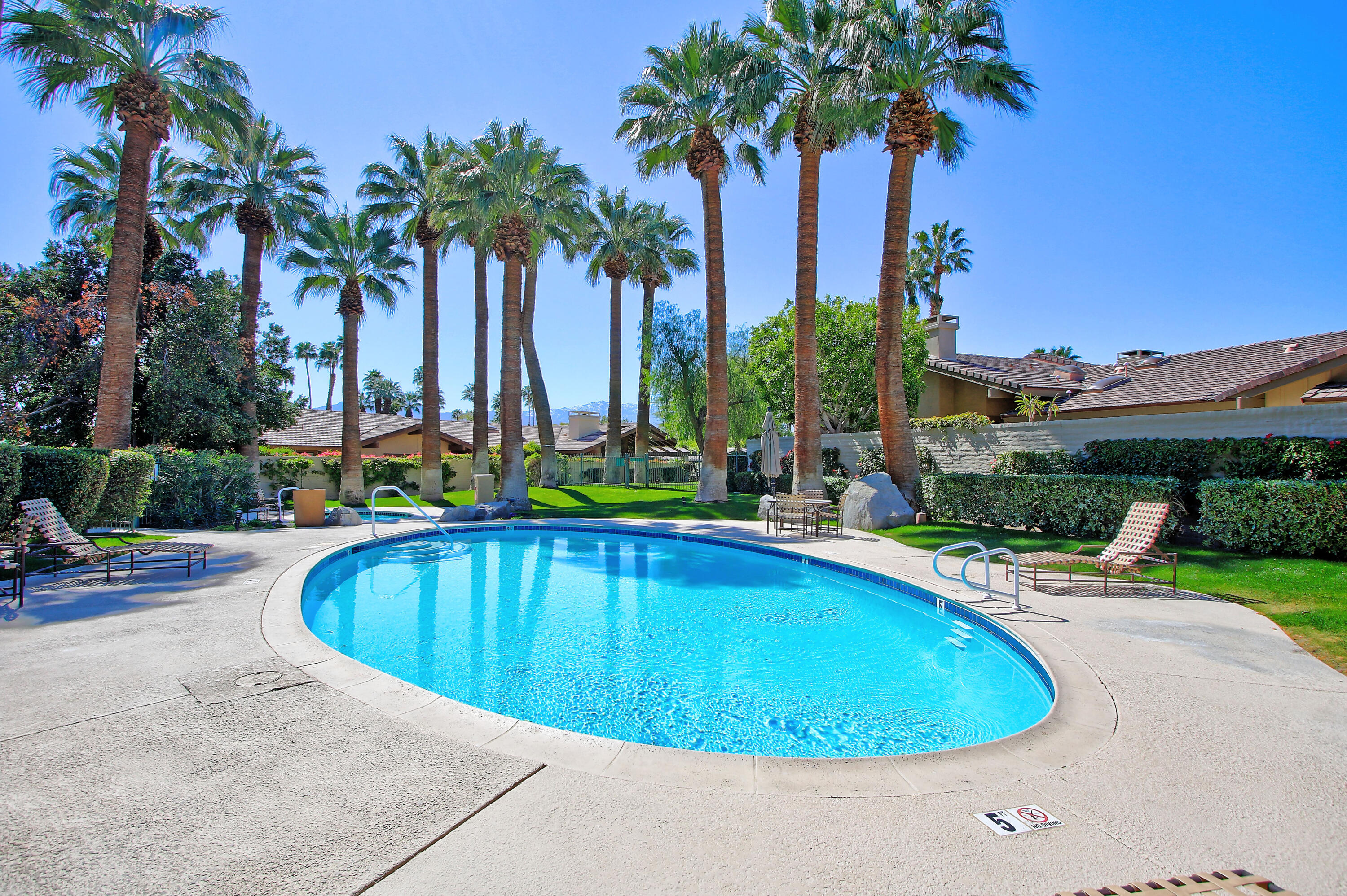 72 Old Ranch Road Palm Desert, CA 92211 - Photo 5 of 35 a view of a swimming pool with a yard and palm trees