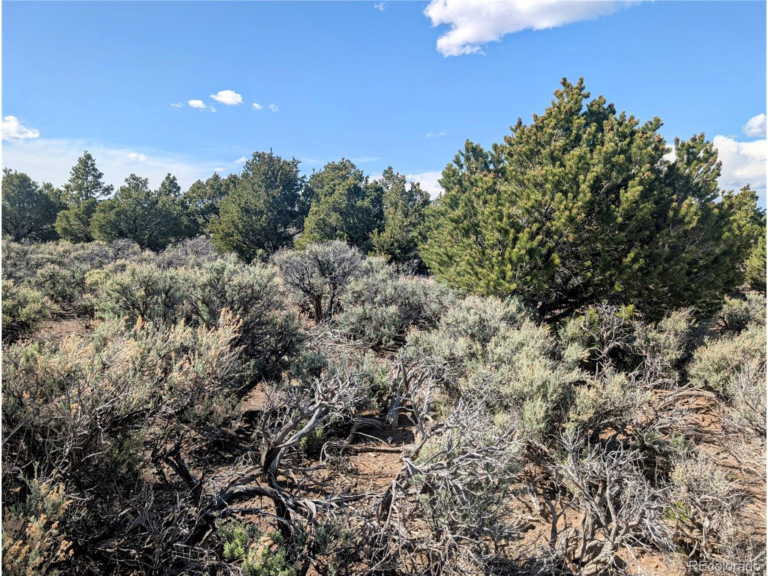 35 Elk Park Road San Luis, CO 81152 - Photo 11 of 34 a view of a city