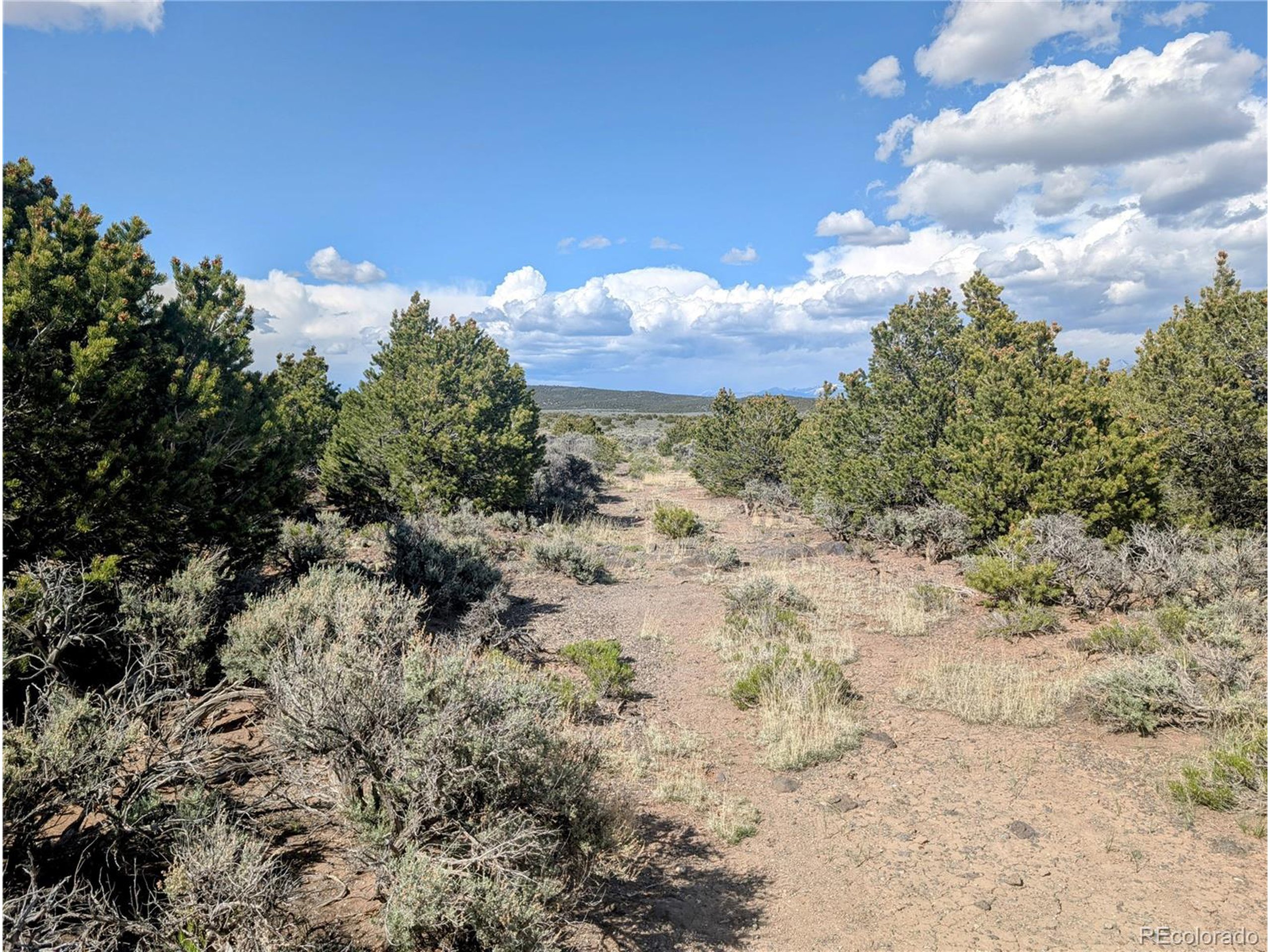 35 Elk Park Road San Luis, CO 81152 - Photo 12 of 34 a view of a bunch of trees