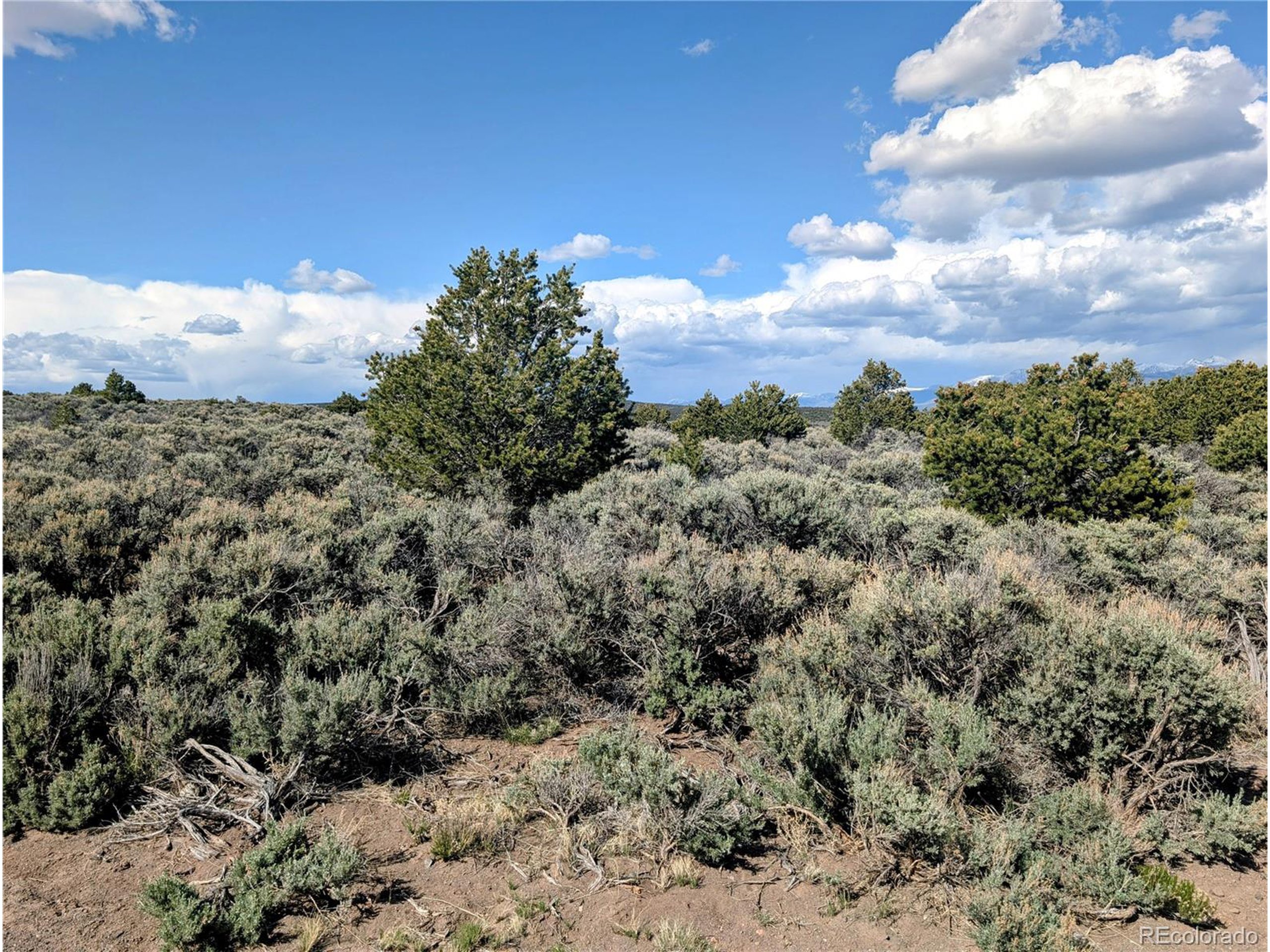35 Elk Park Road San Luis, CO 81152 - Photo 14 of 34 a view of a bunch of trees