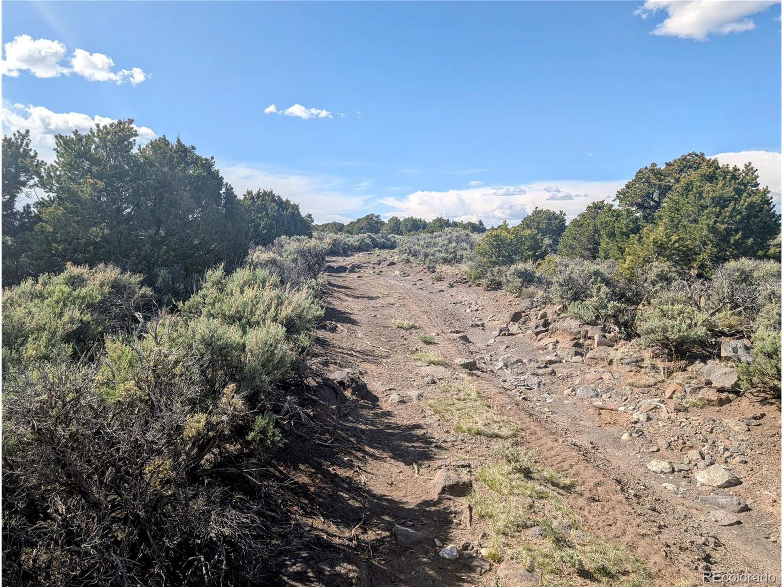 35 Elk Park Road San Luis, CO 81152 - Photo 18 of 34 a view of a dry yard with lots of bushes