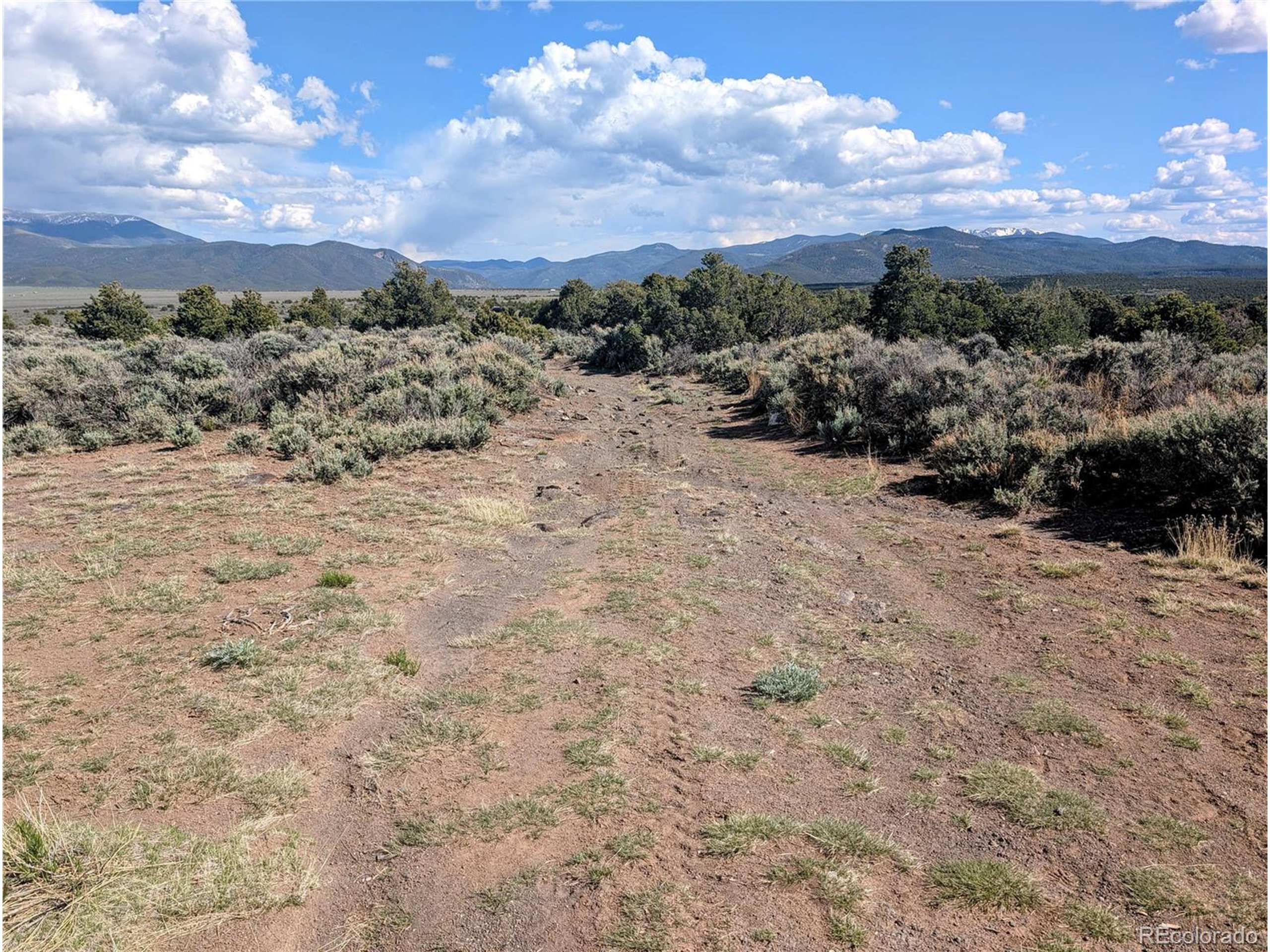 35 Elk Park Road San Luis, CO 81152 - Photo 22 of 34 a view of mountain view with lots of trees