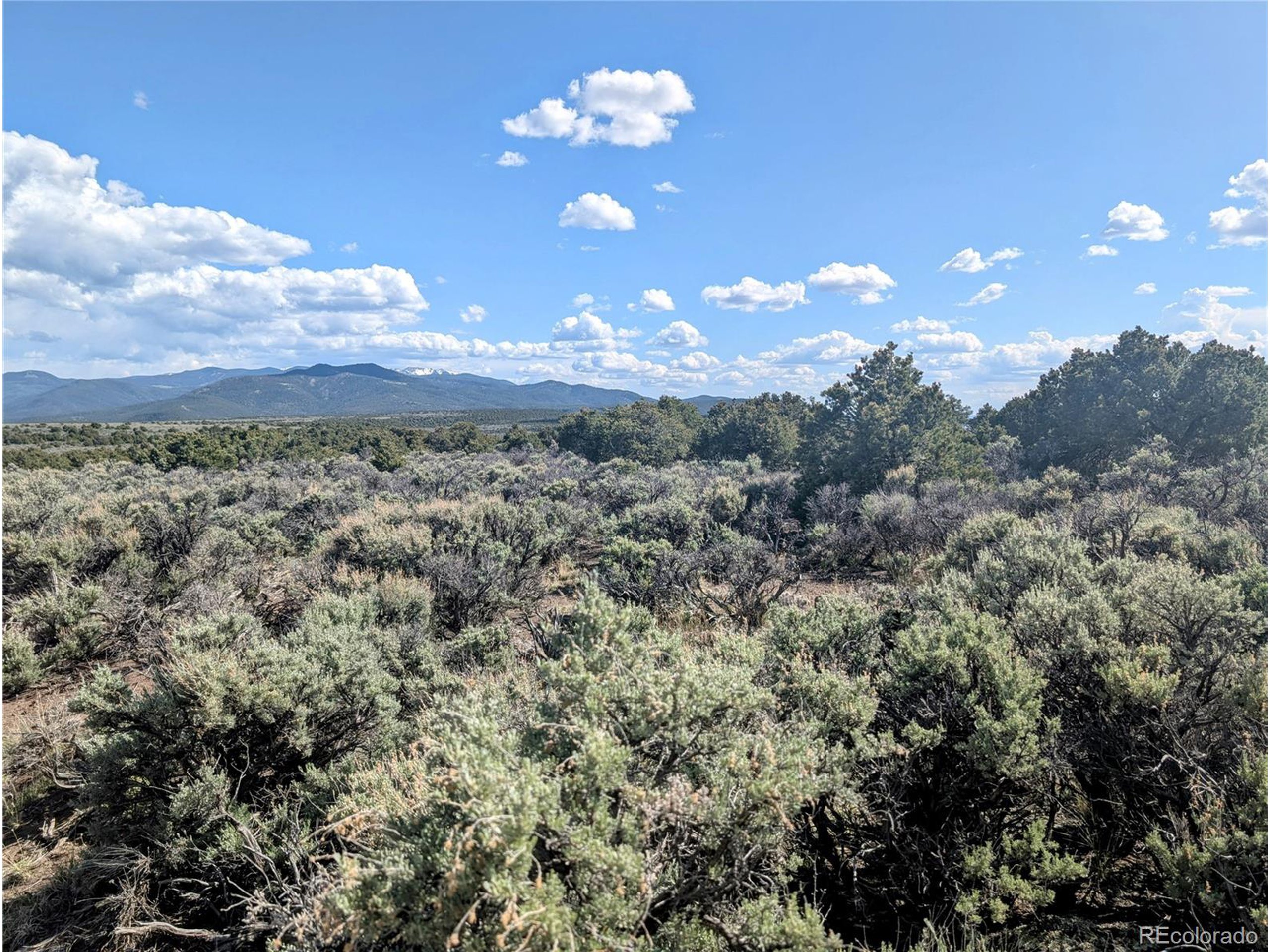 35 Elk Park Road San Luis, CO 81152 - Photo 3 of 34 a view of a yard with an outdoor space