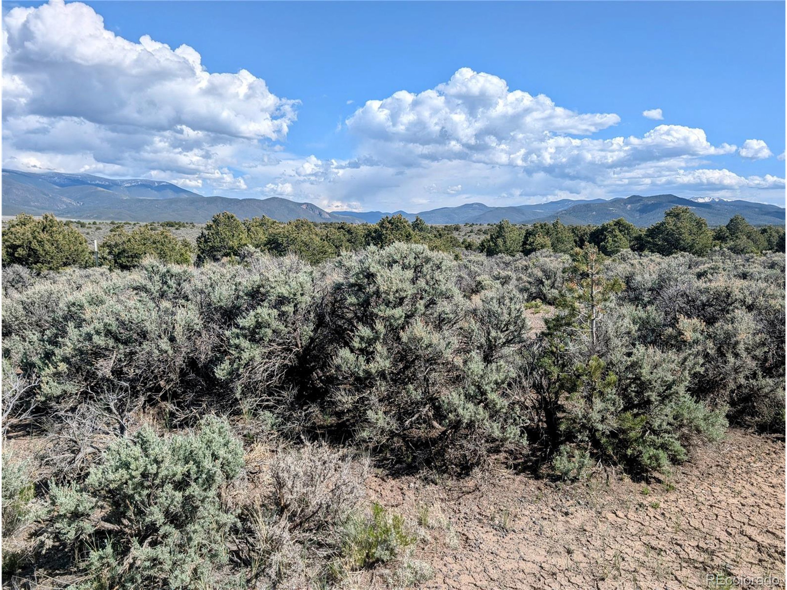 35 Elk Park Road San Luis, CO 81152 - Photo 7 of 34 a view of a bunch of trees