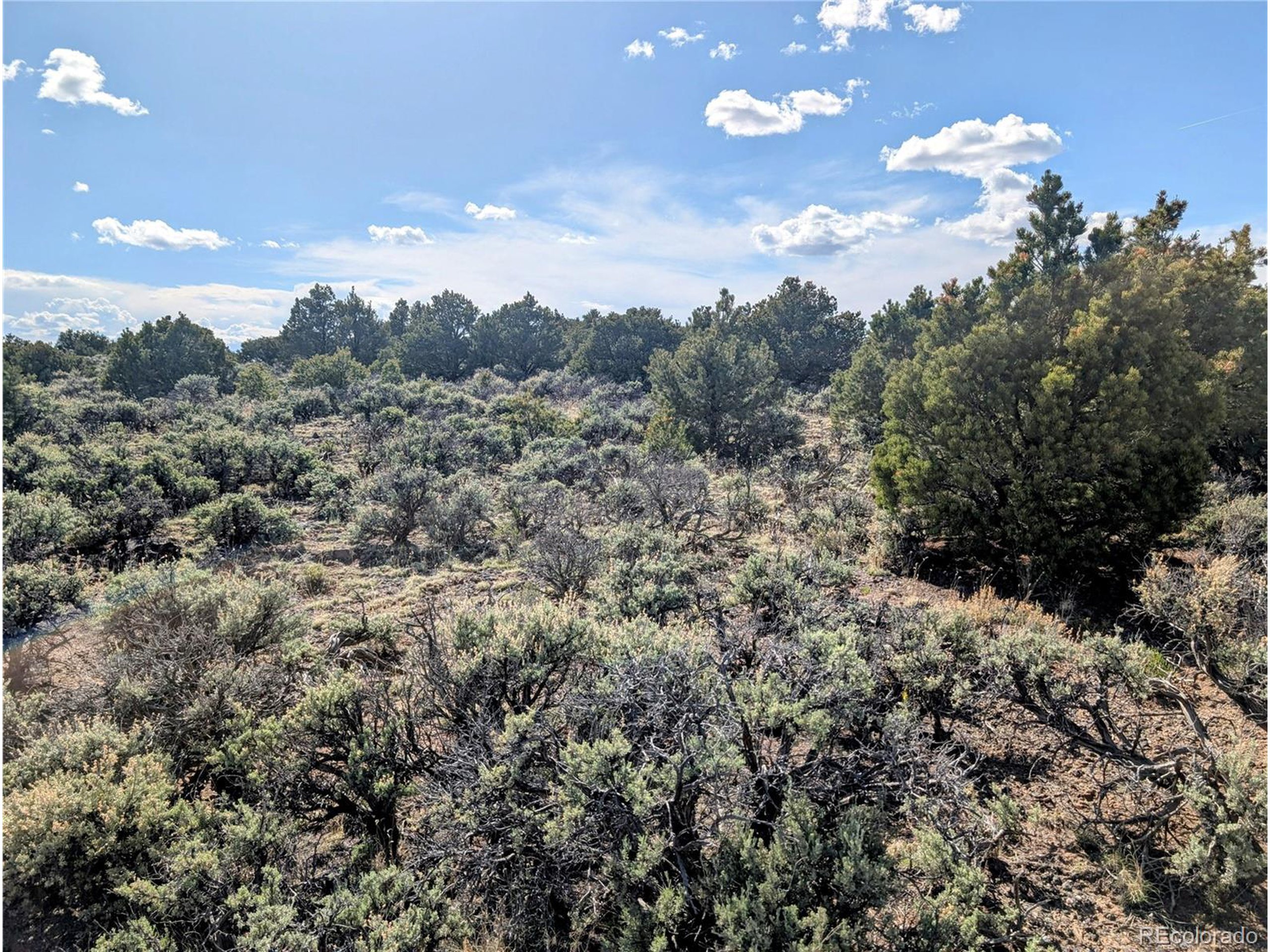 35 Elk Park Road San Luis, CO 81152 - Photo 8 of 34 a view of a city