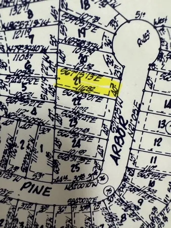 $2,097 | Tbd21 Pine Arbor Street, Trinity, TX 75862