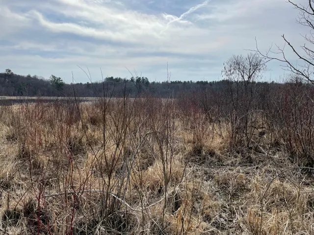 $59,900 | Xxxx Ottawa Drive, Browerville, MN 56438