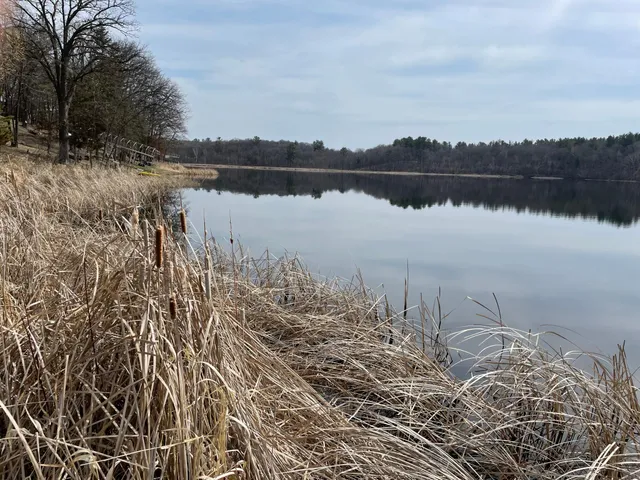 $59,900 | Xxxx Ottawa Drive, Browerville, MN 56438