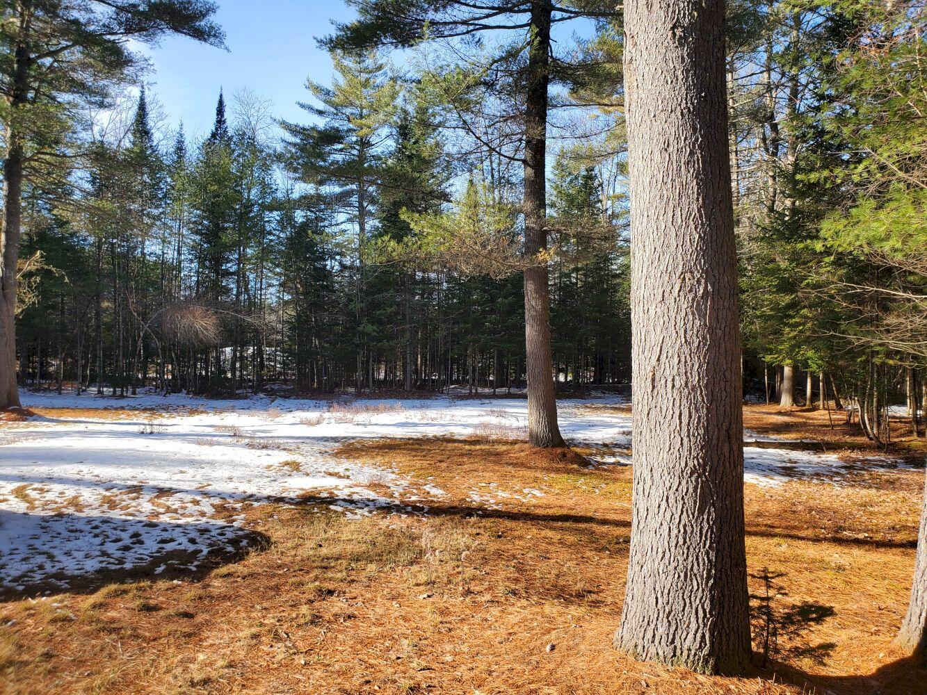 621 New Portland Road Embden, ME 04958 - Photo 47 of 49 20221129_120451