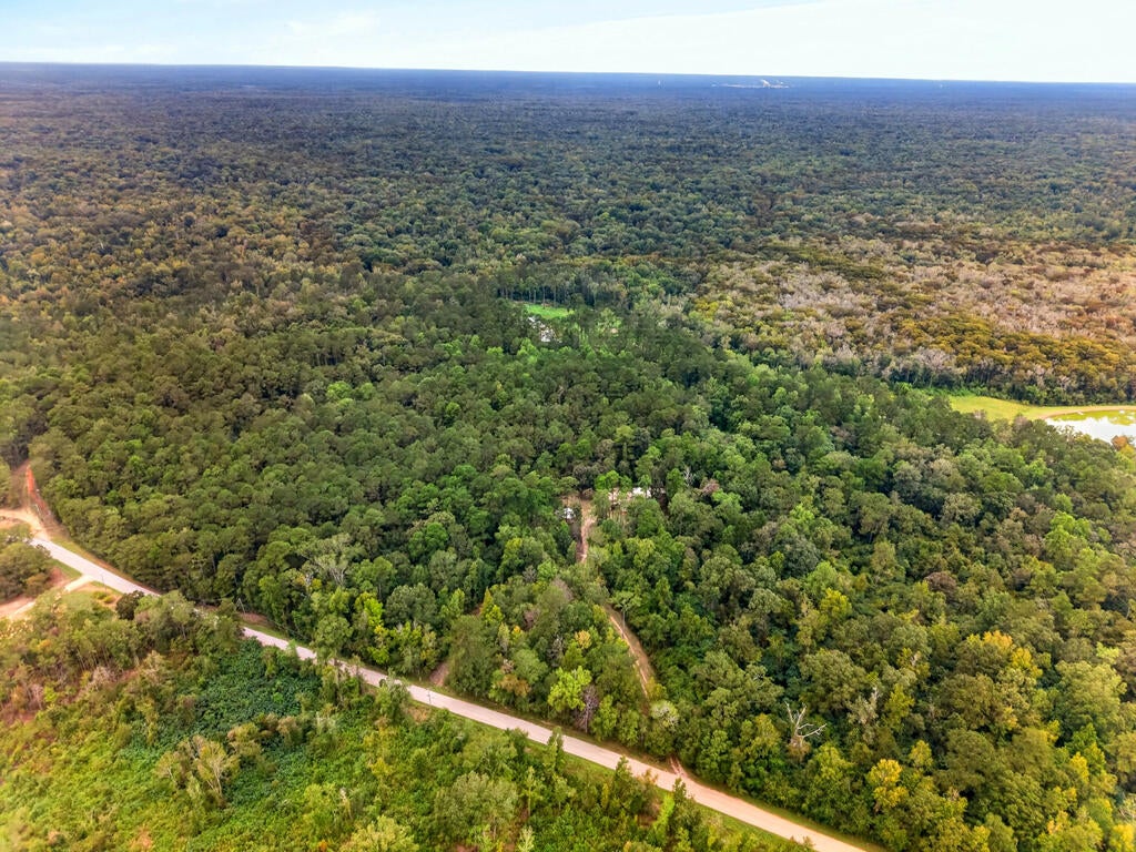 248 Albert Prince Road Carriere, MS 39426 - Photo 53 of 56 Gallery Image 53