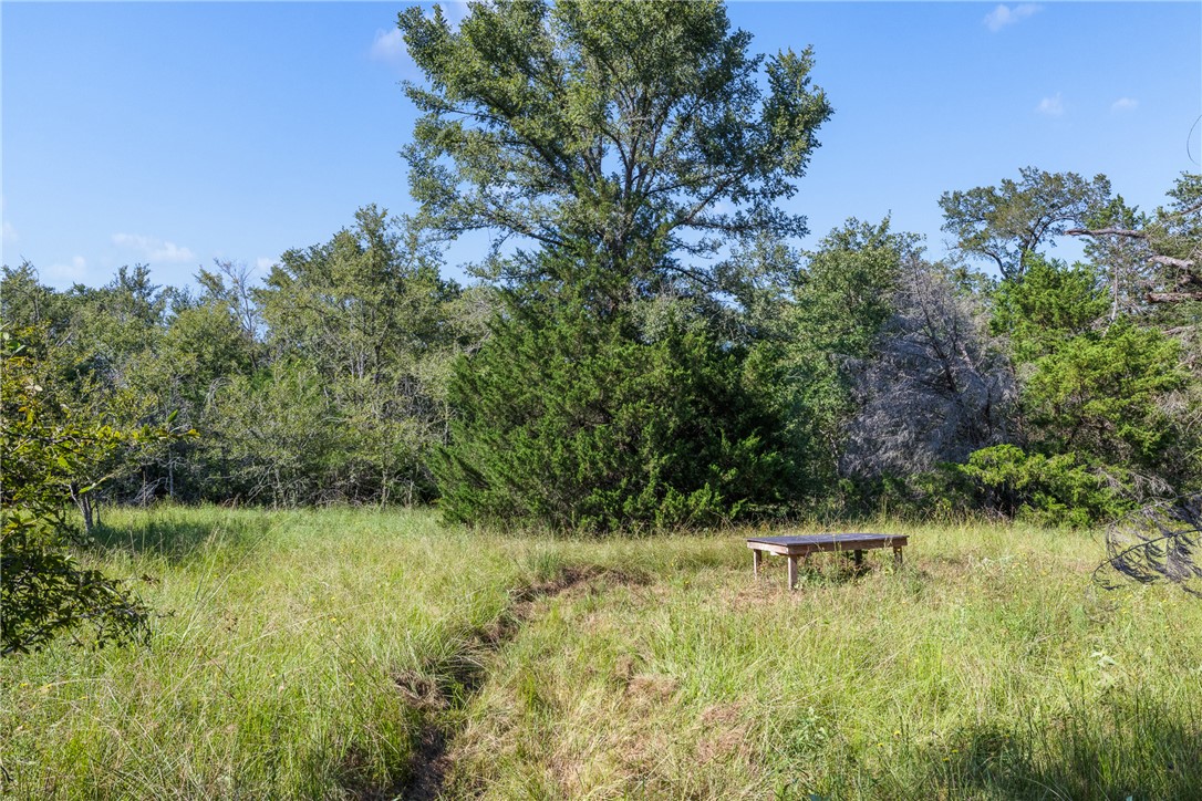 16135 Wilson Pasture Road Bryan, TX 77808 - Photo 19 of 29
