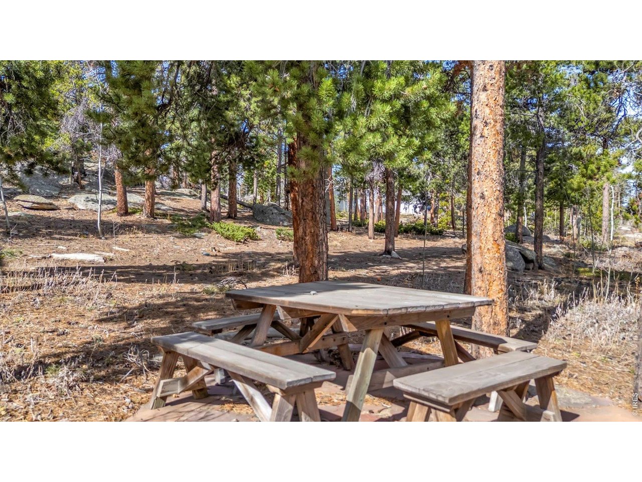 81 Tilghman Road Ward, CO 80481 - Photo 27 of 36