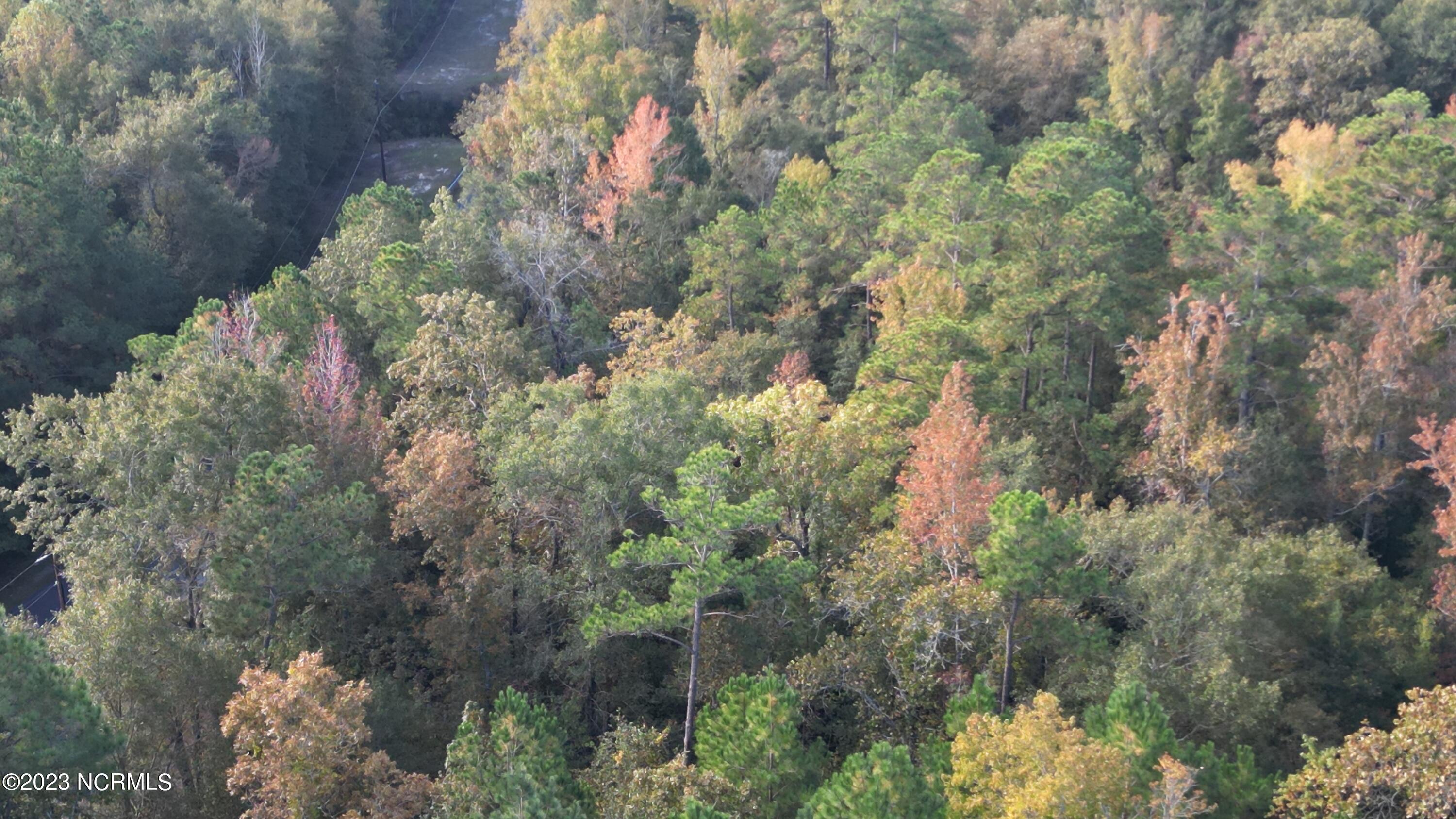 18.33-acre McPherson Road Vass, NC 28394 - Photo 36 of 39 DJI_0161