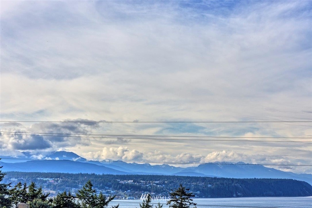 21 South Rhododendron Drive Port Townsend, WA 98368 - Photo 2 of 24 Gallery Image 2