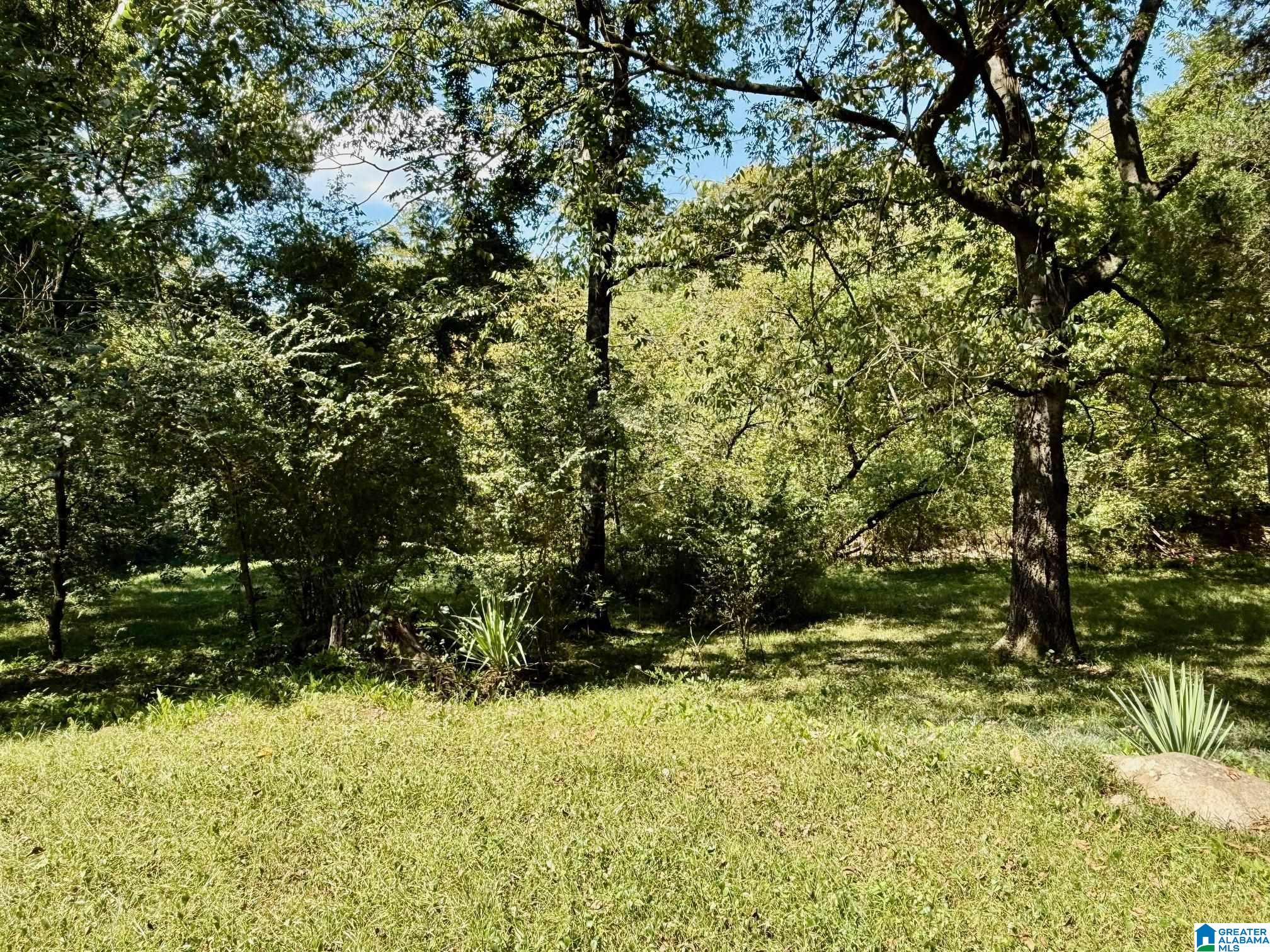 982 Montevallo Road Southeast Leeds, AL 35094 - Photo 4 of 28