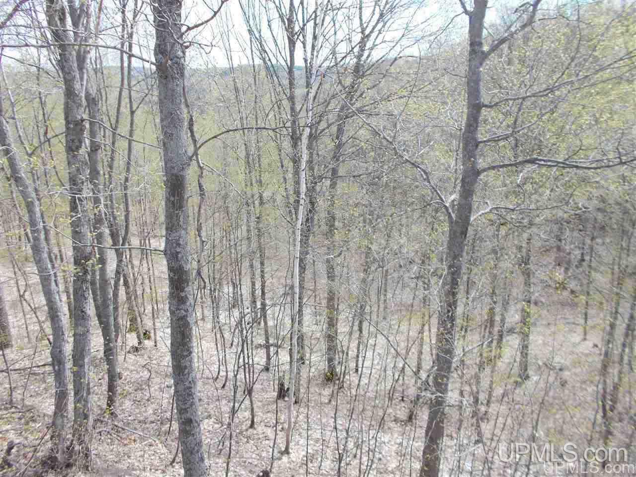 80-acres Triple A Road Ishpeming, MI 49849 - Photo 27 of 28