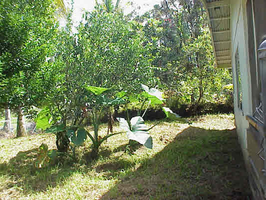 14-3442 Pikake Road Pahoa, HI 96778 - Photo 10 of 13 Gallery Image 10