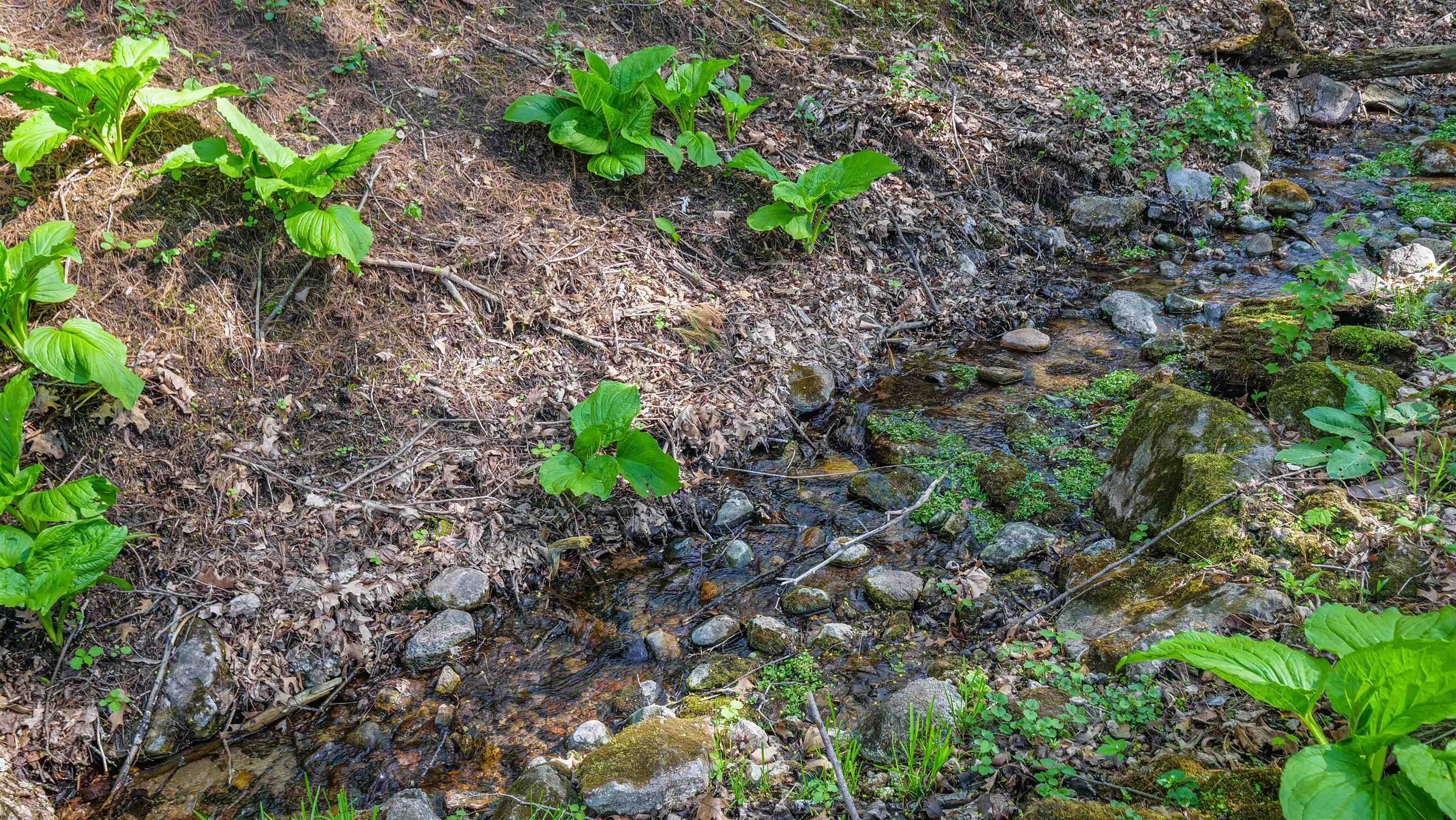 E3192 Apple Tree Lane Waupaca, WI 54981 - Photo 46 of 53