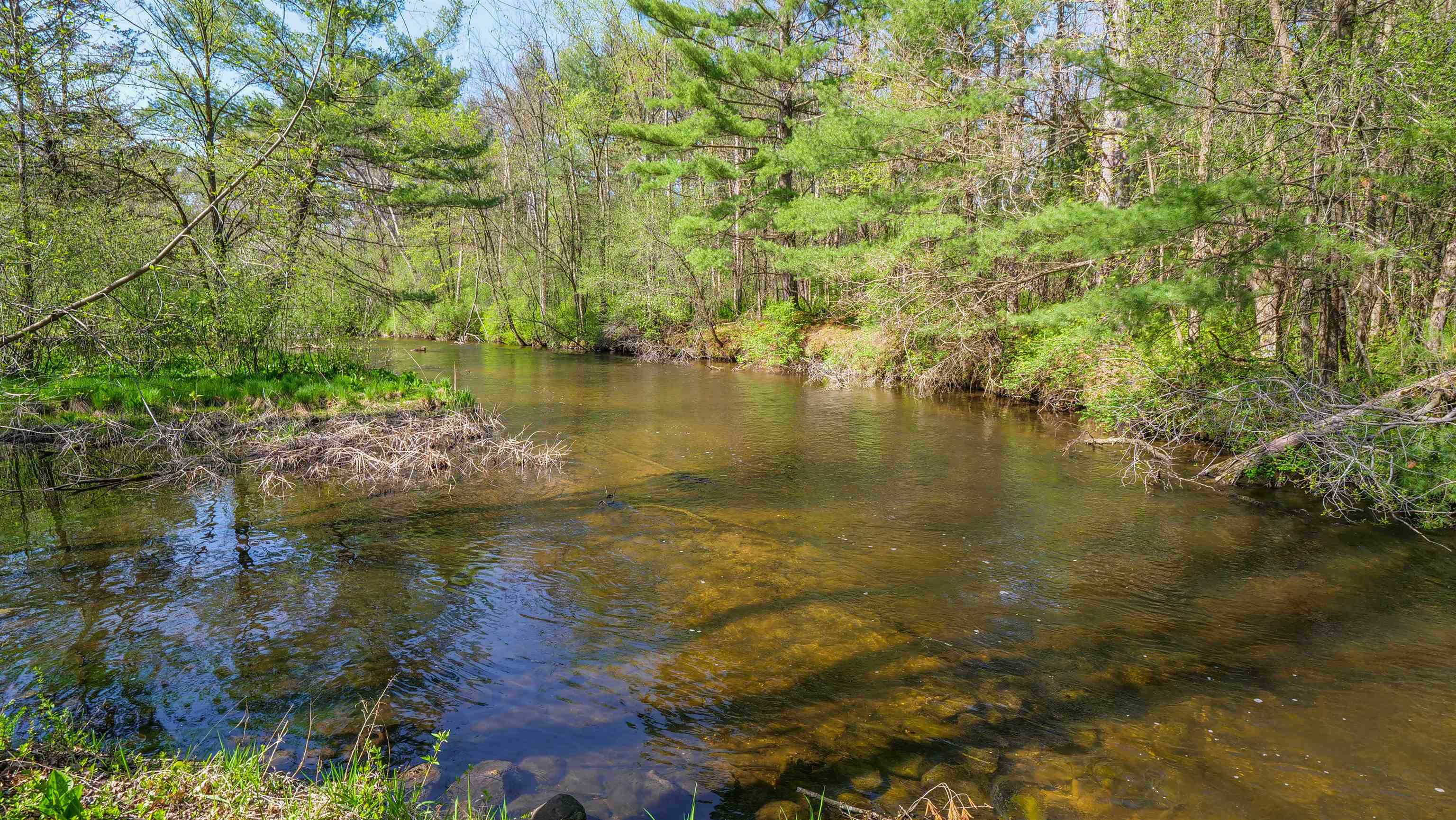 E3192 Apple Tree Lane Waupaca, WI 54981 - Photo 48 of 53