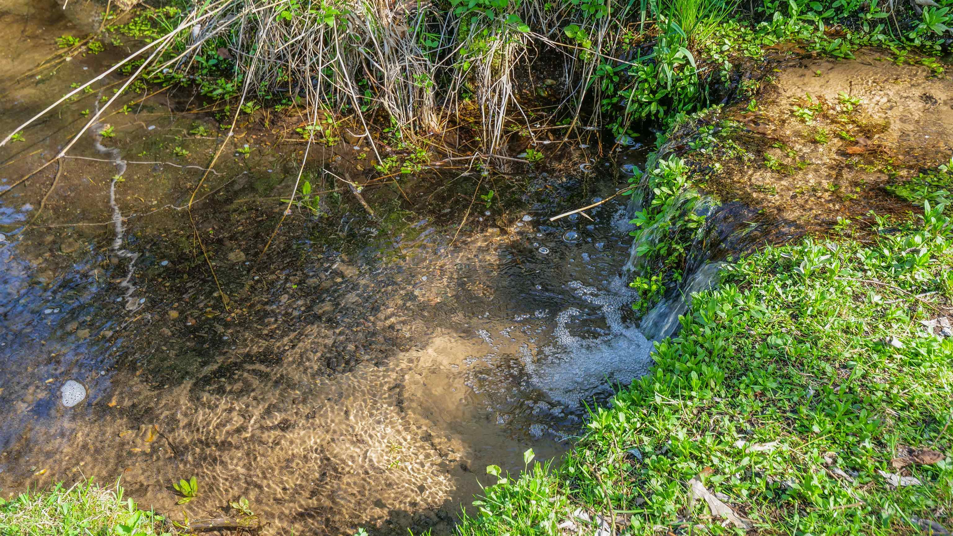 E3192 Apple Tree Lane Waupaca, WI 54981 - Photo 49 of 53